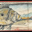 JOHN-DORY