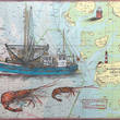 7a wo sind sie gebliebe Fohr MT50x60